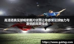 攻击兴奋剂检查人员，澳大利亚网球名宿遭禁赛